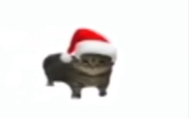 มีมแมวไร้สาระ #3