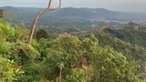 treesome view @mt. balagbag jan21.2024