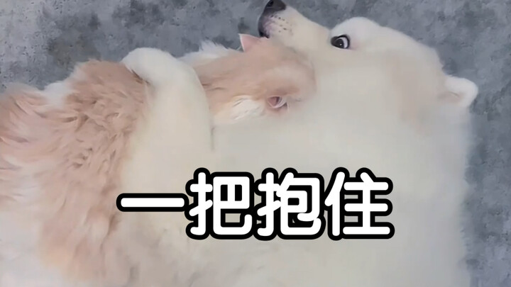 I’ve probably watched this “head-patting kill” a few hundred times.