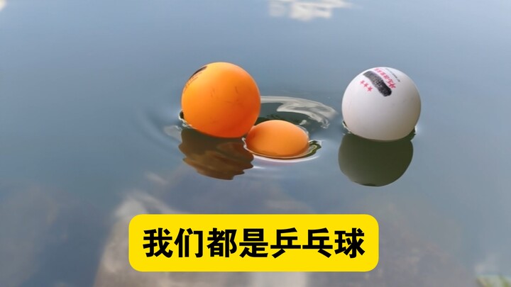 Chúng ta đều là bóng bàn