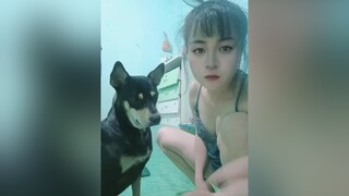 cho chocungcuatoi🐩🐩 chocung chocungcuatoi chó_cưng chócute chó_ngáo chókhôn