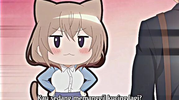 POV : lu punya cewek suka kucing 😺🗿