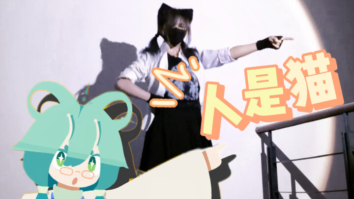 [Original Choreography] Hey, did you know? Humans are actually cats!