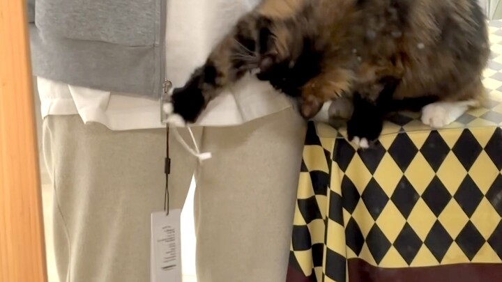 Ai mà hiểu được giá trị của mấy giây cuối cùng chứ á á á á!