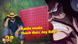 Sinh vật mạnh mẽ nhất ham muốn thử thách Joy Boy? Kaido sở hữu thực sự là phản diện?