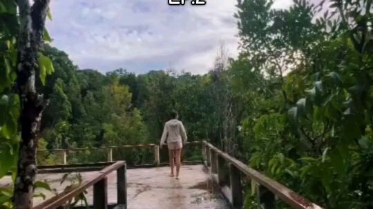 วนอุทยานบ่อน้ำร้อนกันตัง| เดินสะพานเส้นทางศึกษาธรรมชาติ