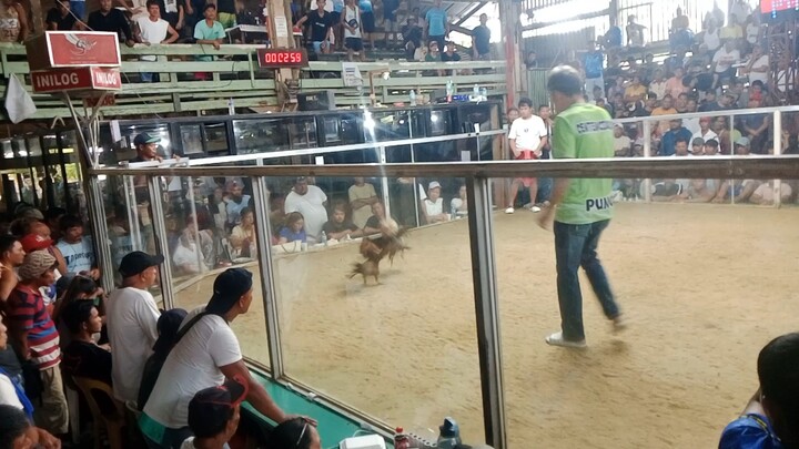 B.E.B Gameyard Hennie vs talisayin. the fastest kill 12 seconds