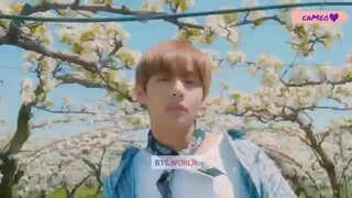 Kim Taehyung "THE FARMER" BTS WORLD