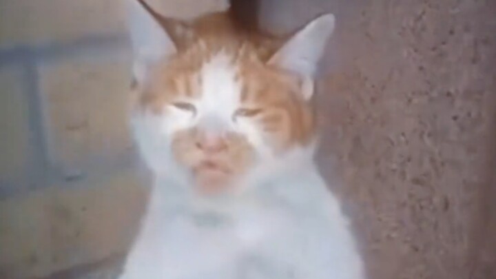 حقًا يوشك على الاشتعال تمامًا