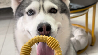 This is how round teething sticks are used.