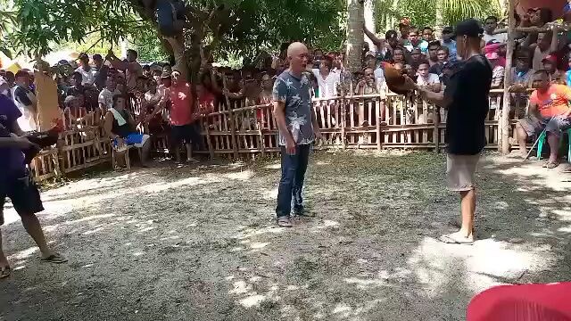 fiesta at brgy. daplian san fdo. masbate.