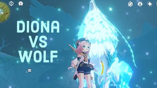 Diona Solo Andrius (Wolf) - [Genshin Impact]