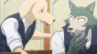 Animal Rhapsody/BEASTARS】Melaleuca Rutin Menjinakkan dan Mewarnai Muda