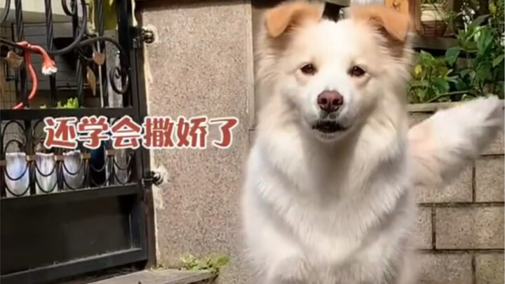 Constantly improving through trial and error