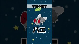 【イラスト】宇宙の面白い雑学 #shorts #イラスト #雑学