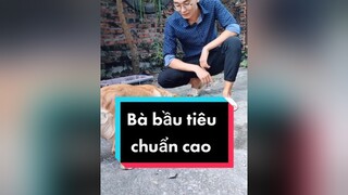 Đêm hôm đăng video chắc là ko có ai xem rồi...cunyeucuadua chó chócon chókhôn chócute
