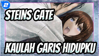 [Steins;Gate | AMV] Kaulah Garis Hidupku_2