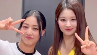 Interaksi Kelinci Yao! 【TWICE Park Ji Hyo + NMIXX Seol Yoon】 Tantangan Bagus Killin' Me!