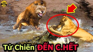 🔴Khóc Thét Với Tử Chiến Kinh Hoàng Long Trời Nở Đất Giữa 2 Gã Chúa Tể Điên Rồ Và Đáng Sợ Nhất