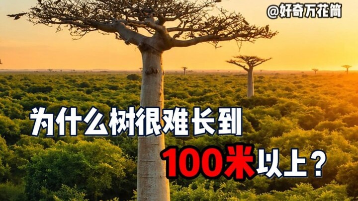 Why is it so hard for trees to grow taller than 100 meters? #SciencePopularization #Trees #Nature #L