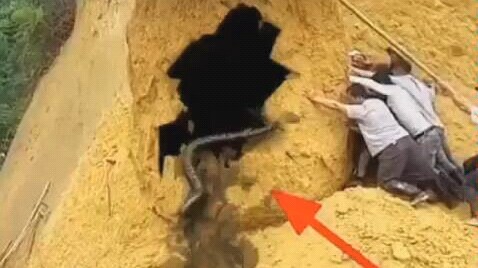 The video can’t be photoshopped, so this is real (share it fast in the “Loving Family” WeChat group)