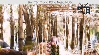 Sinh tồn trong rừng ngập nước p9