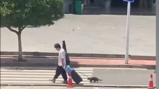 One man and one cat, traveling the world with a sword!