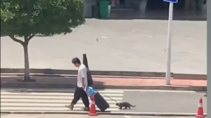 One man and one cat, traveling the world with a sword!