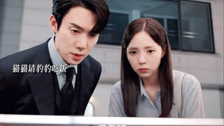 怎么会有这么可爱的豹豹猫猫啊!!!