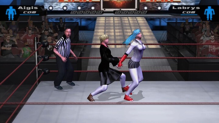 Aigis vs Labrys