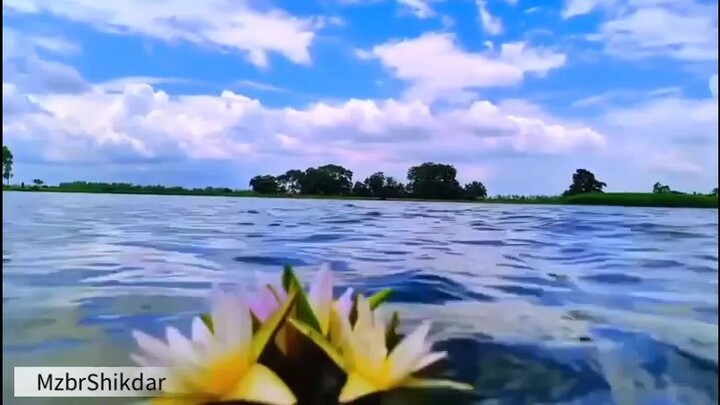 কিছু মানুষ মানসিক শান্তির জন্য প্রেম করে, তারপর "পা'গল" হয়ে ফিরে আসে!🙂