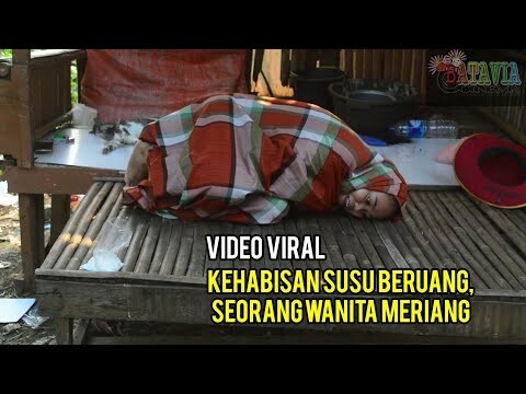 Viral!! Kehabisan Susu Beruang, Seorang Wanita meriang.