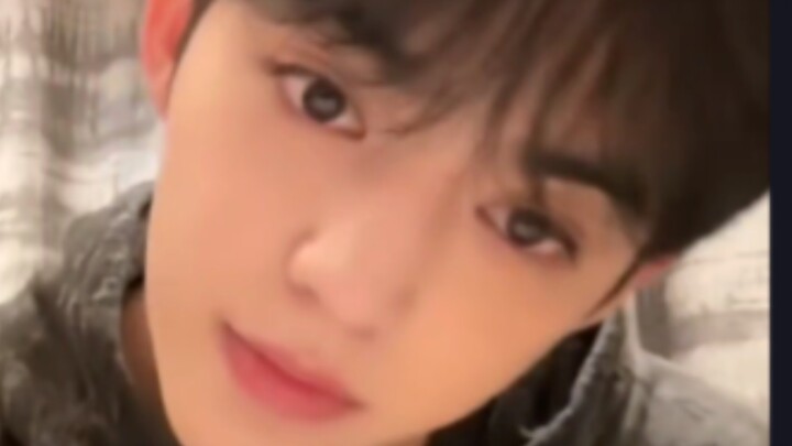 أنا وضعت أخوي هنا، ساعدوني في مراقبته 😸