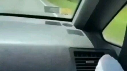 Bear: Thank you, nature, for your gifts.