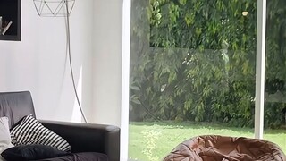 TOP FORM SERIES EP 5