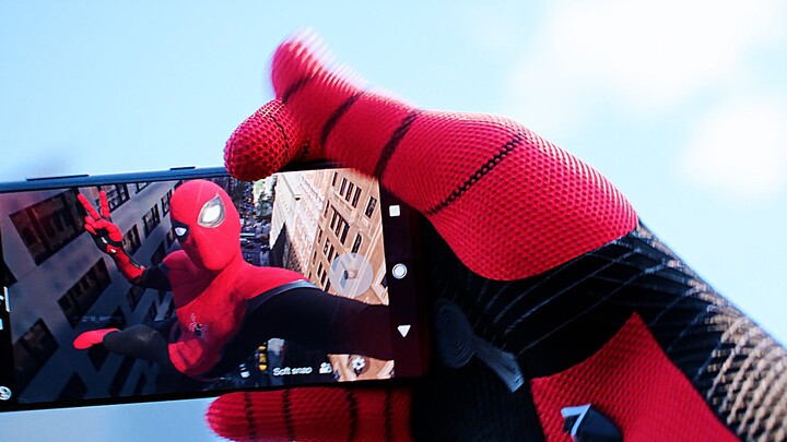 Nhện nhỏ chẳng những lắm mồm mà còn rất thích quay video nữa!