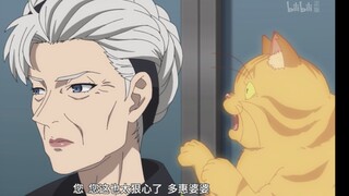 银桑你怎么变成猫了？还带着登势婆婆穿越了哈哈哈【虚构推理】