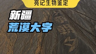 最近被破坏的新疆荒漠大字，去年是这样的