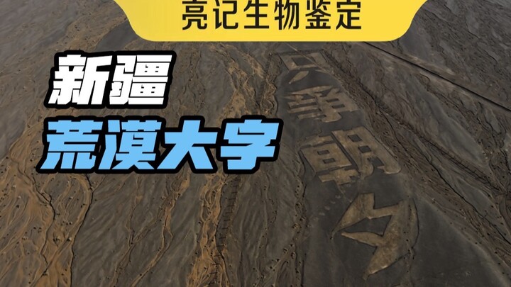 最近被破坏的新疆荒漠大字，去年是这样的