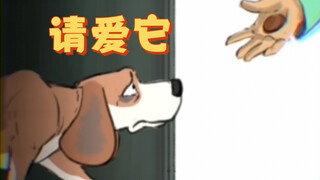 狗狗眼里的不同世界 【宝藏动画】tailof2dogsfilm