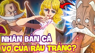 VEGAPUNK NHÂN BẢN CON NGƯỜI?! | NHỮNG NGHIÊN CỨU CỦA VEGAPUNK TRONG ONE PIECE