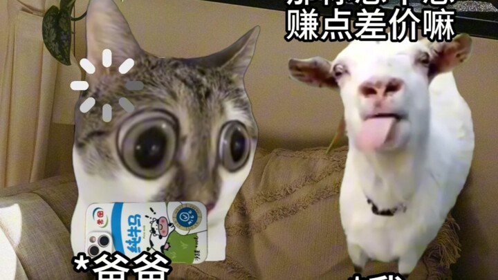 当你想和老爸合伙虚报班费时