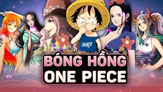 ONE PIECE | TOP 5 BÔNG HỒNG ĐẸP MÀ CÓ GAI - P1