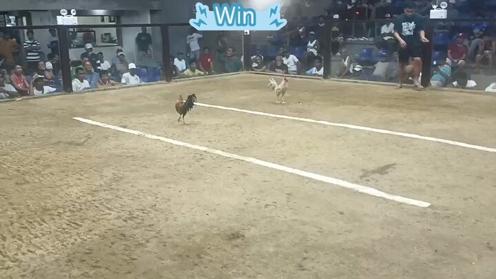 2nd entry 1st fight Win @VSC 11-18-25