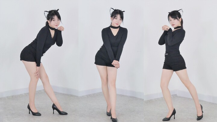 4K vertical screen | I want to be your cat♡ cat walk lightly