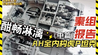 军模日记期45期—AH全内构虎P素组报告，就是一个酣畅淋漓极度舒适的素组！满赞66更新！
