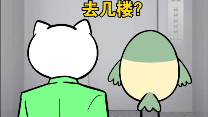 Which floor do you live on?