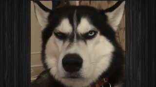 The gloomy man was manipulated by his grandfather's brother, and then punched his companion? [Findin