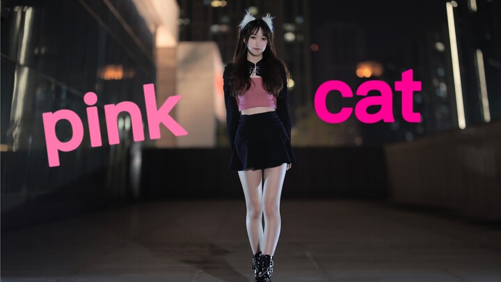 【Yiyi】Renaissance! Dance Part 3! PINK CATᜊ•ᴗ•ᜊ