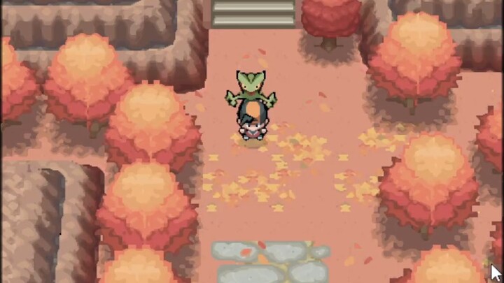 NDS revised version of Absolute Heart Gold Bond Evolution
